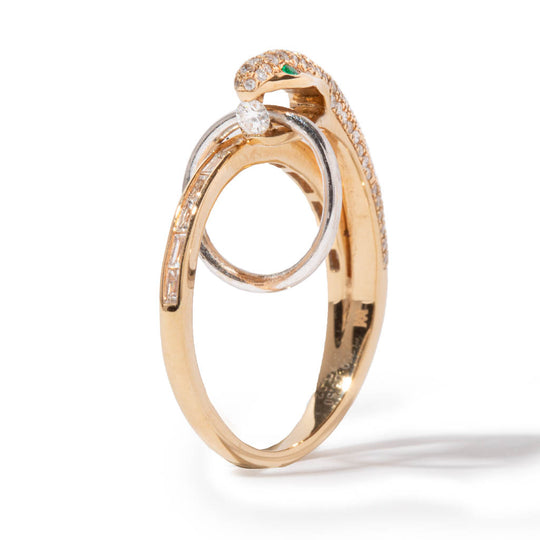 The Snake Ring